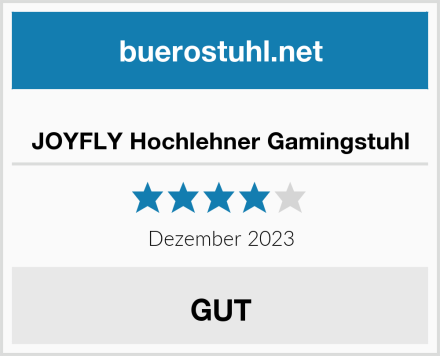  JOYFLY Hochlehner Gamingstuhl Test