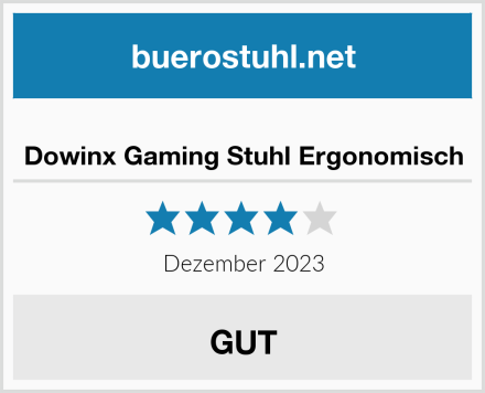  Dowinx Gaming Stuhl Ergonomisch Test