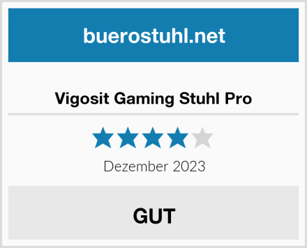  Vigosit Gaming Stuhl Pro Test