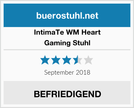 IntimaTe WM Heart Gaming Stuhl Test