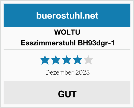 WOLTU Esszimmerstuhl BH93dgr-1 Test