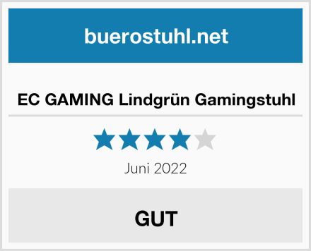 EC GAMING Lindgrün Gamingstuhl Test